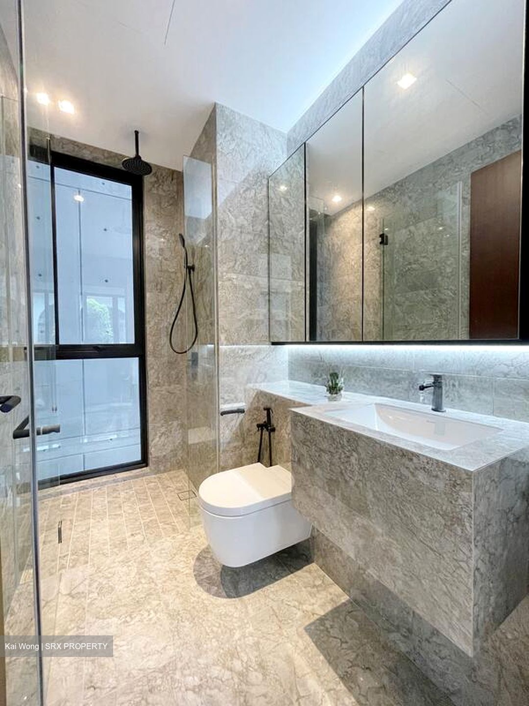Jervois Privé (D10), Apartment #595440451